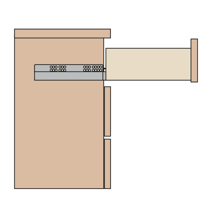 Rending Picture for Salice Soft-closing Undermount Draw Slides