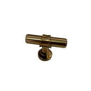 The Nottingham Collection Cabinet knob Amber Brass